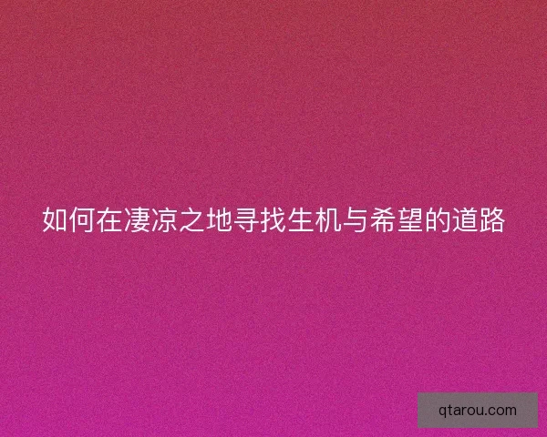 如何在凄凉之地寻找生机与希望的道路