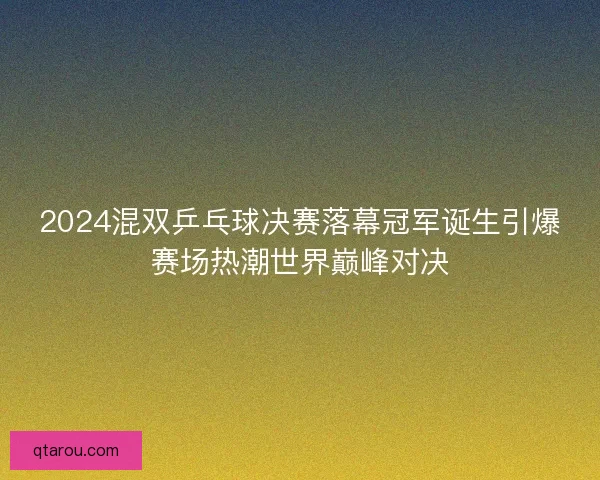 2024混双乒乓球决赛落幕冠军诞生引爆赛场热潮世界巅峰对决
