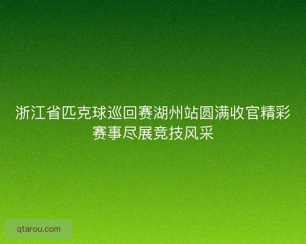 浙江省匹克球巡回赛湖州站圆满收官精彩赛事尽展竞技风采