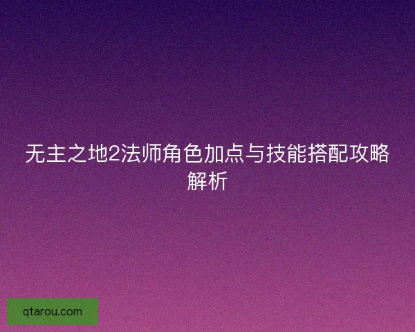 无主之地2法师角色加点与技能搭配攻略解析