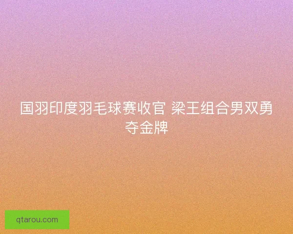 国羽印度羽毛球赛收官 梁王组合男双勇夺金牌